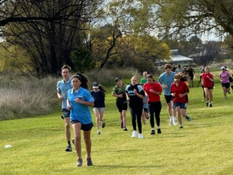 Cross country carnival