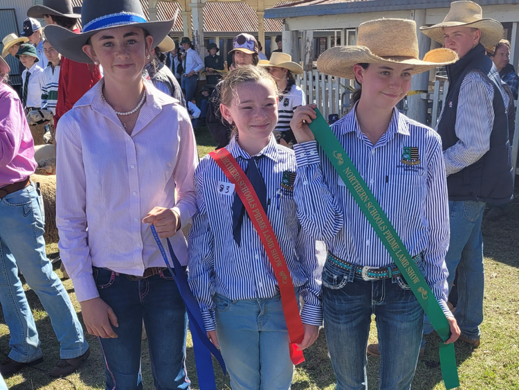 Northern schools lamb competition