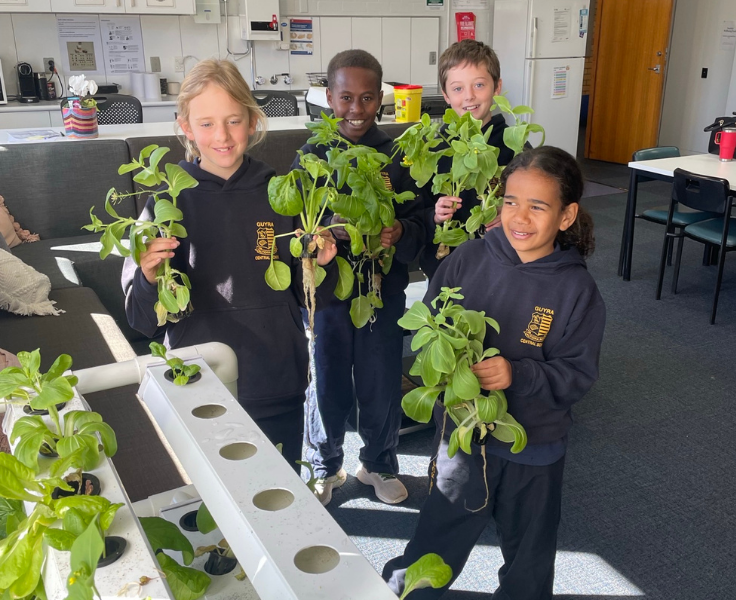 Hydroponic garden being looked after by primary students
