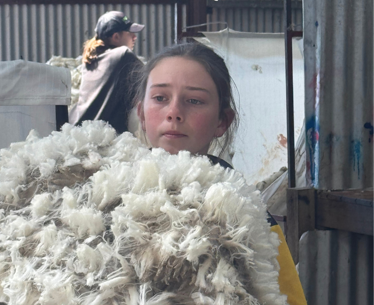 Student carrying sheep fleece during shearing excursion